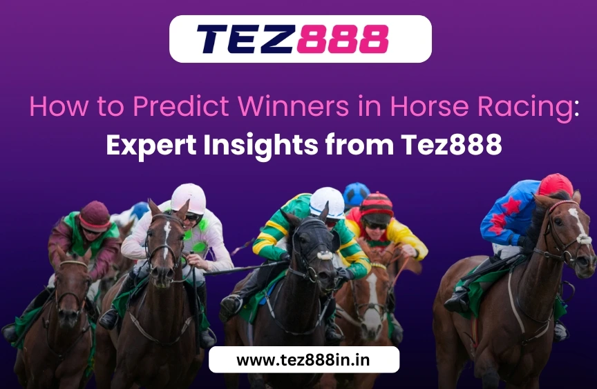 How to Predict Winners in Horse Racing: Expert Insights from Tez888